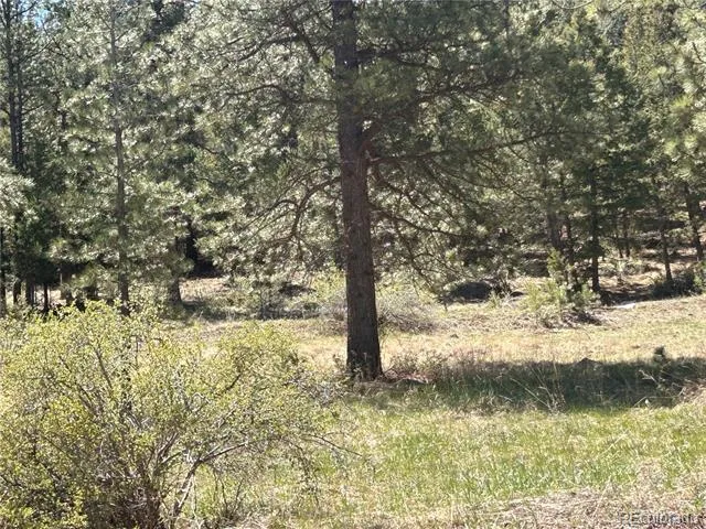 364 County Road 64 Shawnee, CO 80475