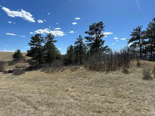 0 Ridge Road Castle Rock, CO 80104