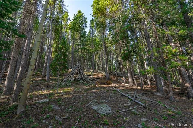 000 Aspenwood Lane Evergreen, CO 80439