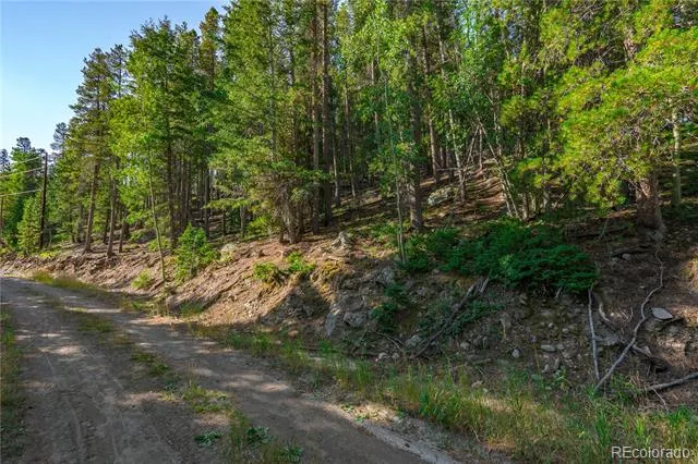 000 Aspenwood Lane Evergreen, CO 80439
