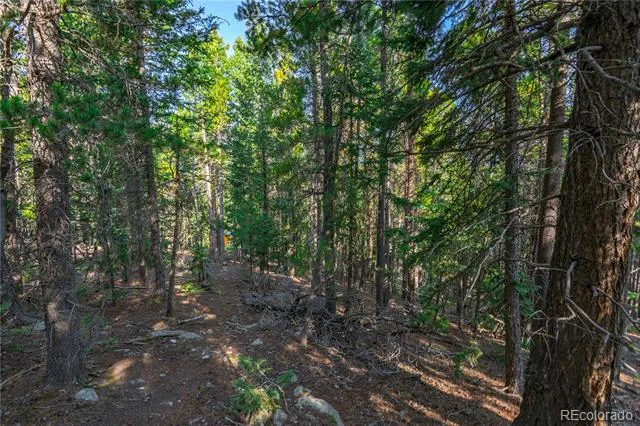 000 Aspenwood Lane Evergreen, CO 80439