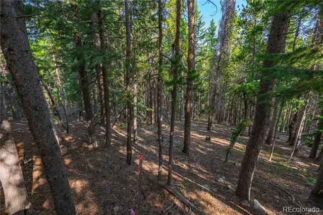 000 Aspenwood Lane Evergreen, CO 80439