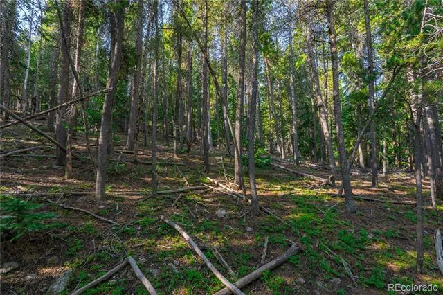 000 Aspenwood Lane Evergreen, CO 80439
