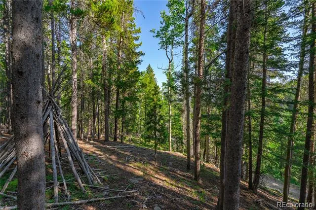 000 Aspenwood Lane Evergreen, CO 80439