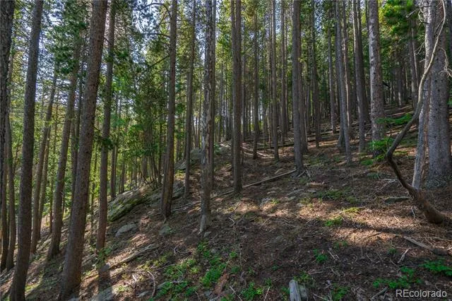 000 Aspenwood Lane Evergreen, CO 80439
