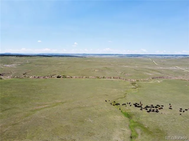 3 County Road 77 Calhan, CO 80808