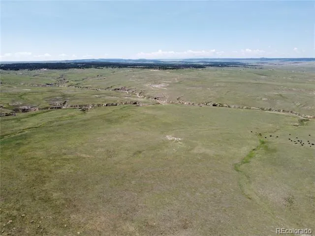 3 County Road 77 Calhan, CO 80808