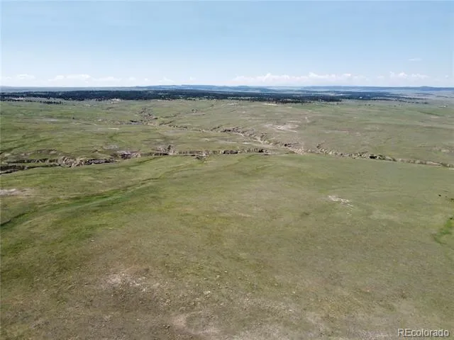 3 County Road 77 Calhan, CO 80808