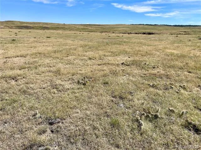 3 County Road 77 Calhan, CO 80808