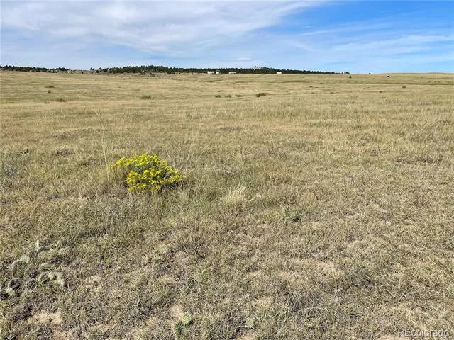 3 County Road 77 Calhan, CO 80808