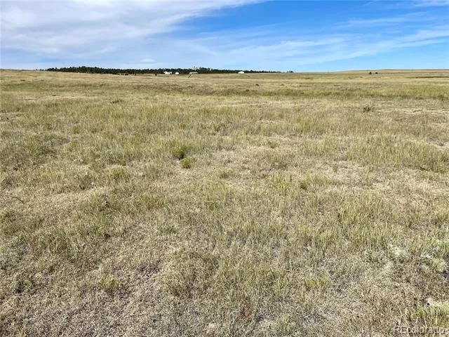 3 County Road 77 Calhan, CO 80808
