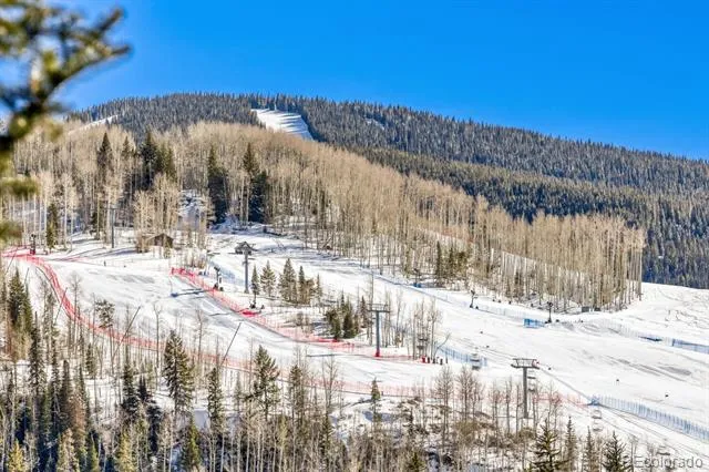 500 S Frontage Road #415 Vail, CO 81657