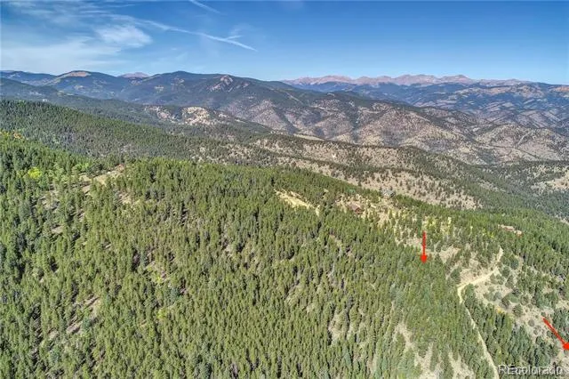 1234 Warren Gulch Road Idaho Springs, CO 80452