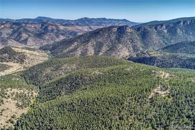 1234 Warren Gulch Road Idaho Springs, CO 80452