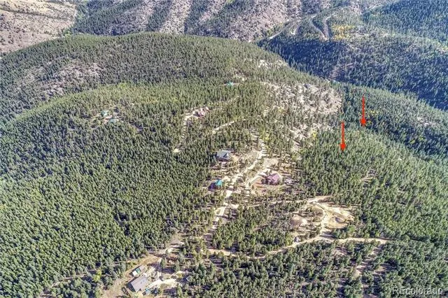 1234 Warren Gulch Road Idaho Springs, CO 80452