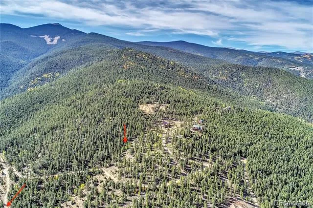 1234 Warren Gulch Road Idaho Springs, CO 80452