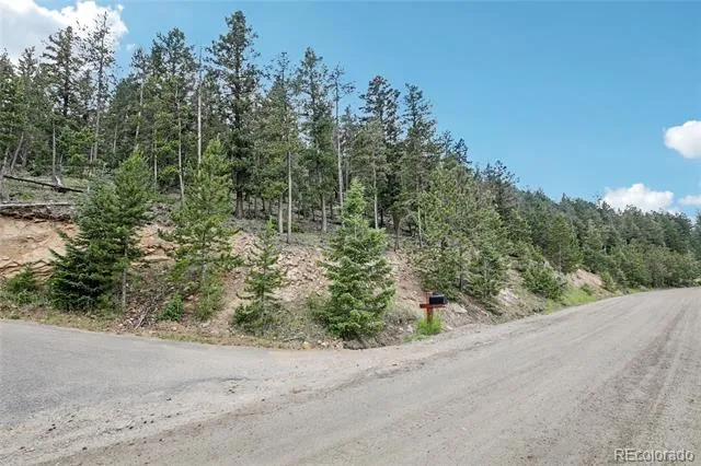 Elk Valley Drive Evergreen, CO 80439