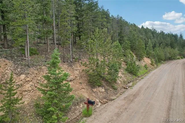Elk Valley Drive Evergreen, CO 80439