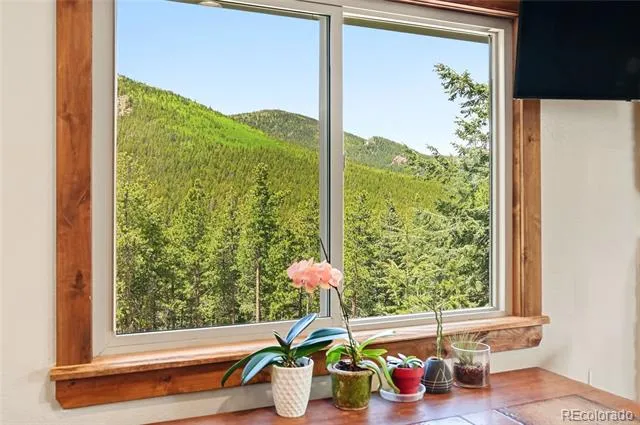 9165 Jill Drive Conifer, CO 80433