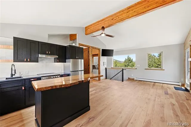 9165 Jill Drive Conifer, CO 80433