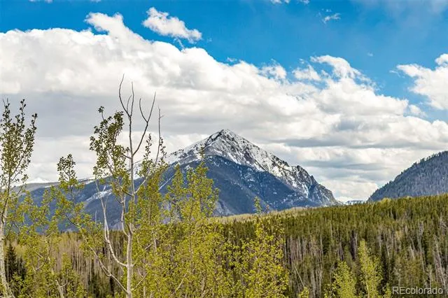 21 Deborah Lane #Share B Silverthorne, CO 80498