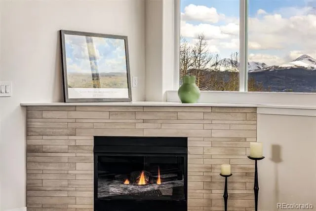 21 Deborah Lane #Share B Silverthorne, CO 80498
