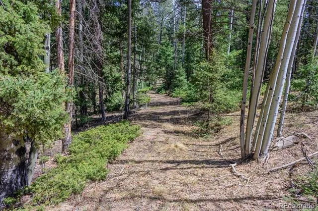2763 Mountain Estates Road Florissant, CO 80816
