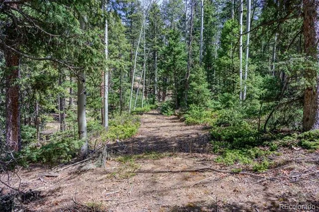 2763 Mountain Estates Road Florissant, CO 80816