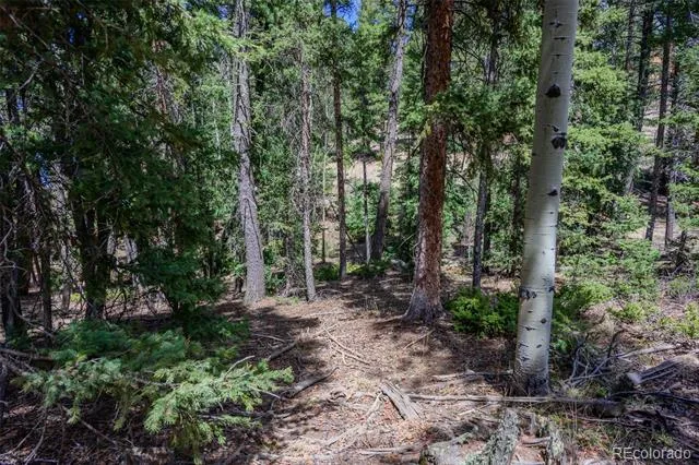 2763 Mountain Estates Road Florissant, CO 80816