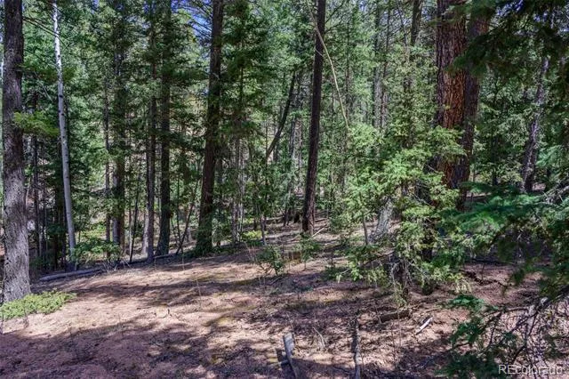 2763 Mountain Estates Road Florissant, CO 80816