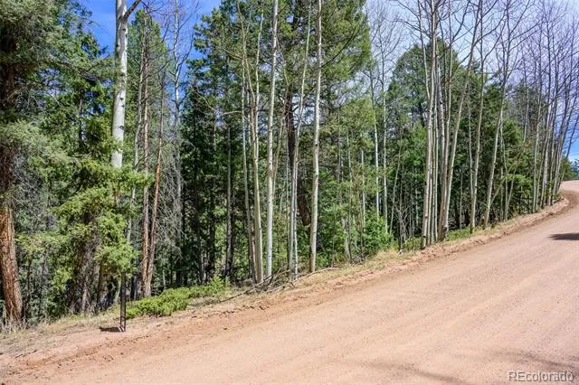 2763 Mountain Estates Road Florissant, CO 80816