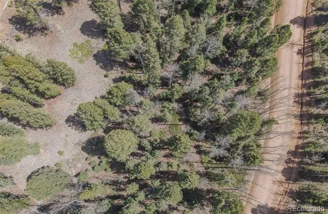 2763 Mountain Estates Road Florissant, CO 80816