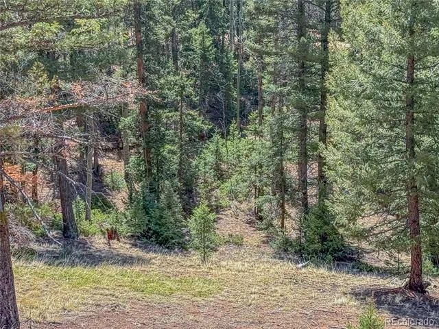 2763 Mountain Estates Road Florissant, CO 80816