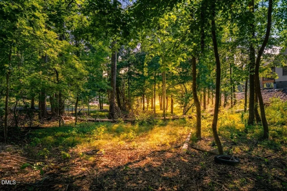 Lot 4 Wild Turkey Drive Semora, NC 27343
