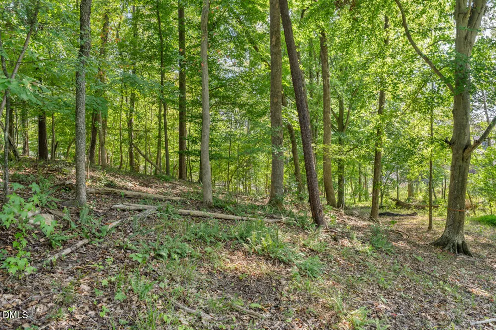 Lot 4 Wild Turkey Drive Semora, NC 27343