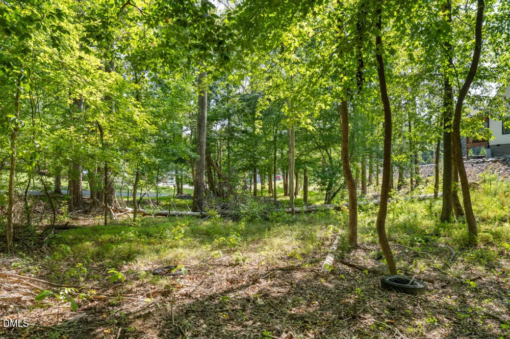 Lot 4 Wild Turkey Drive Semora, NC 27343