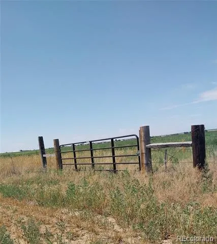 6642 CO RD I Wiggins, CO 80654