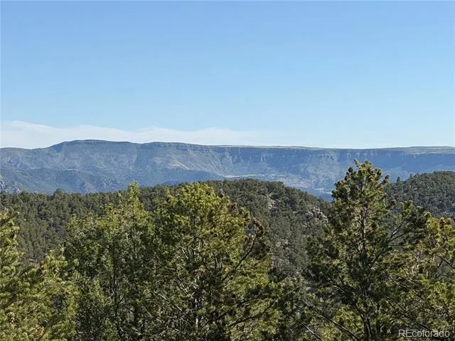 20 Molly Lane Cotopaxi, CO 81223