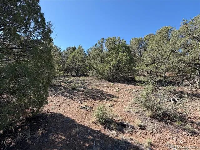 20 Molly Lane Cotopaxi, CO 81223
