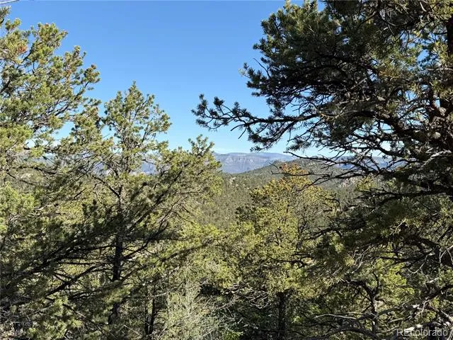 20 Molly Lane Cotopaxi, CO 81223