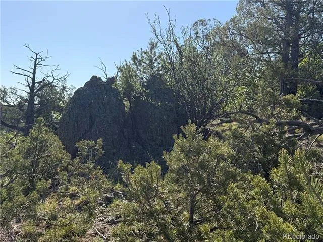 20 Molly Lane Cotopaxi, CO 81223