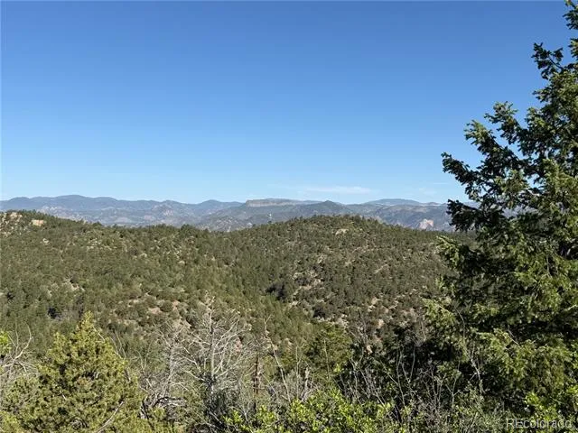 20 Molly Lane Cotopaxi, CO 81223