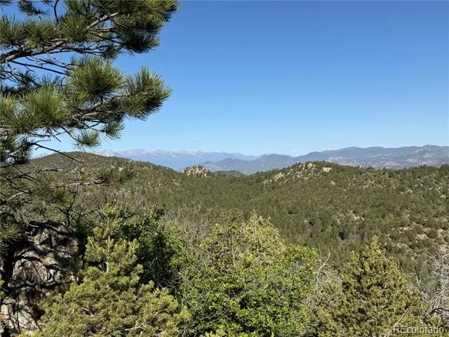 20 Molly Lane Cotopaxi, CO 81223