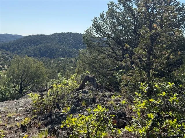 20 Molly Lane Cotopaxi, CO 81223