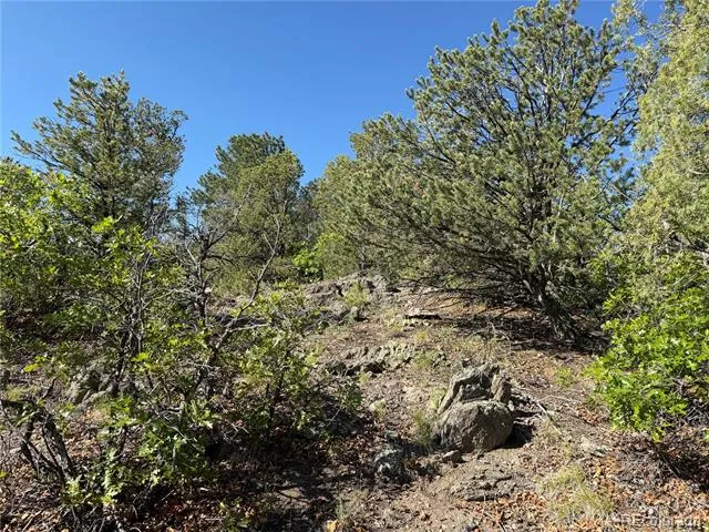 20 Molly Lane Cotopaxi, CO 81223