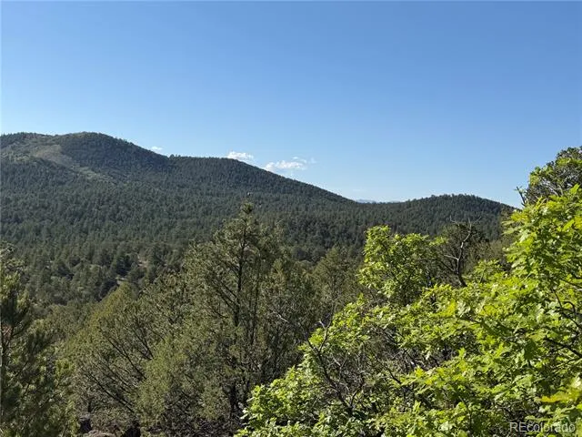 20 Molly Lane Cotopaxi, CO 81223