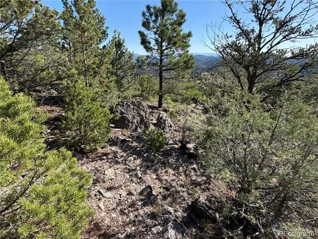 20 Molly Lane Cotopaxi, CO 81223