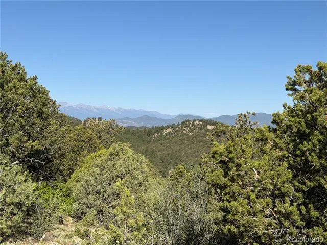 20 Molly Lane Cotopaxi, CO 81223