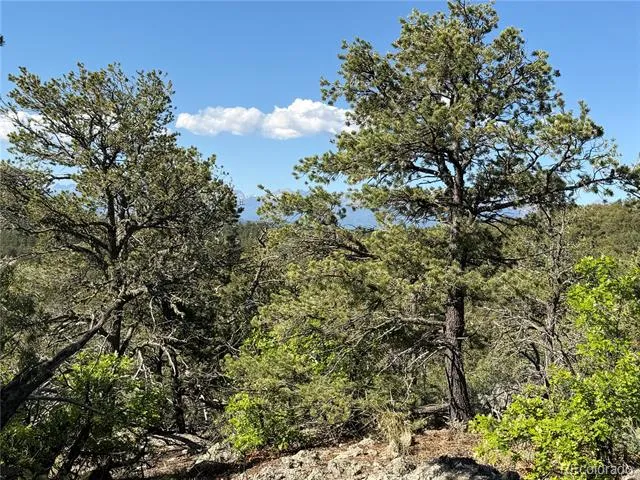 20 Molly Lane Cotopaxi, CO 81223
