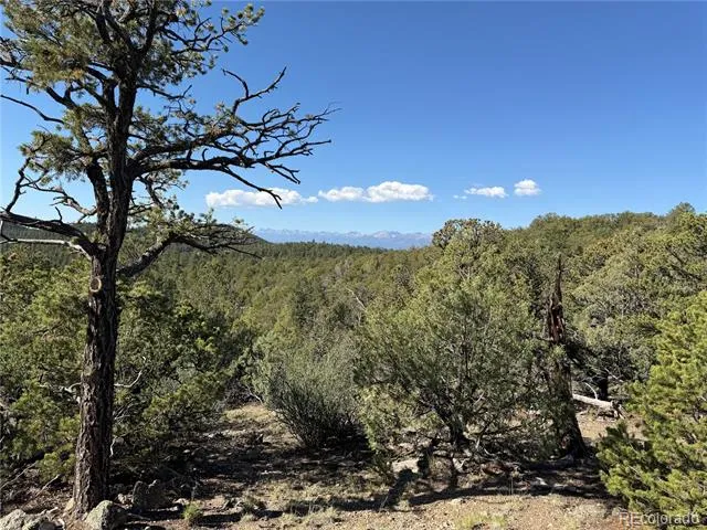 20 Molly Lane Cotopaxi, CO 81223
